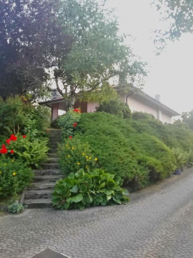 El Campizol Daire Drena Dış mekan fotoğraf
